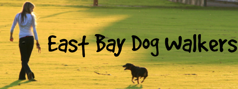 East Bay Dog Walkers